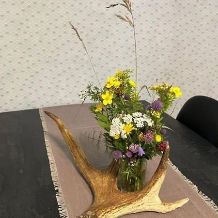 Familienfreundliche Farm Stuga Hamra エクステリア 写真